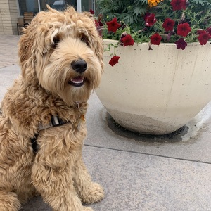 Fundraising Page: Irene Best